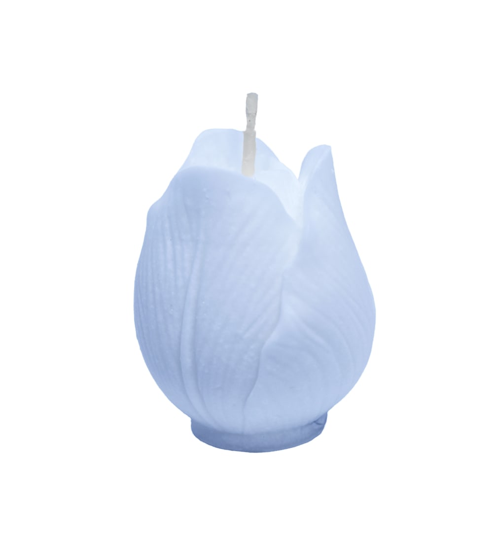Lot 5 bougies Fleur multicolore H5 - Maisons du Monde