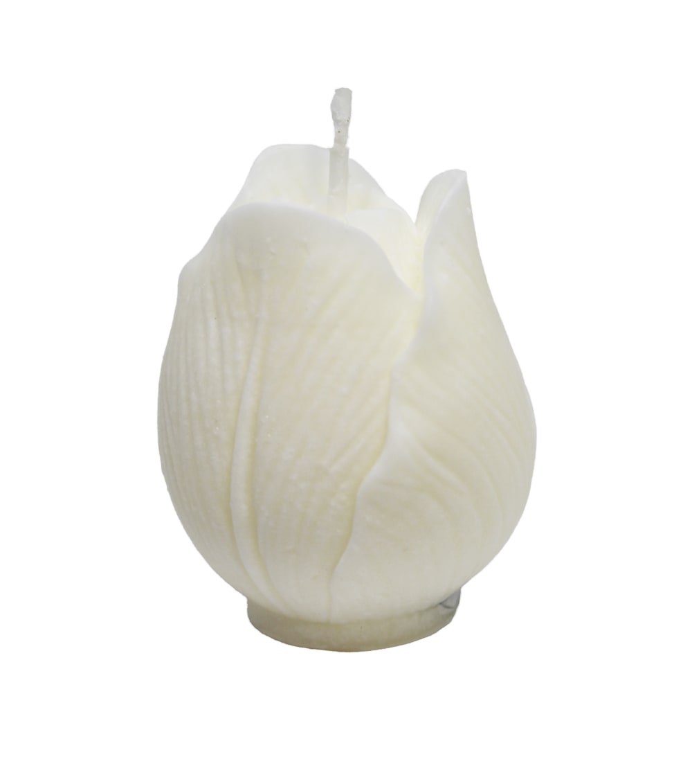Lot 6 bougies Fleur blanc H5