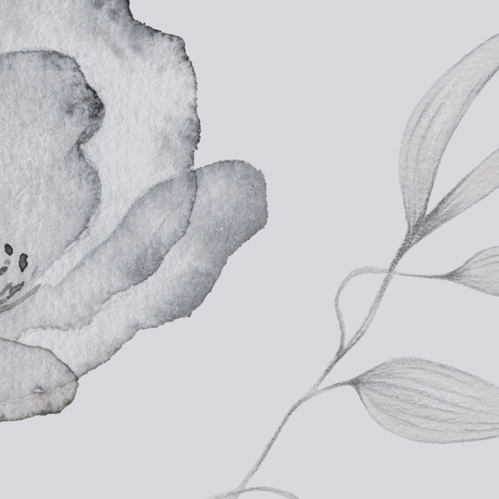 Papier peint souffle de légèreté, gris 525 x 250cm — vue 4