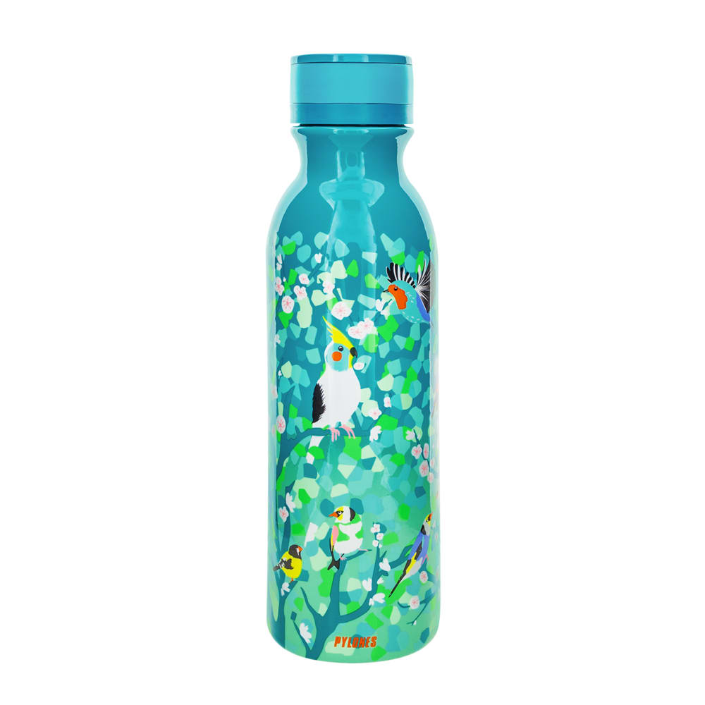 Pylones Botella termo 60 cl  azul