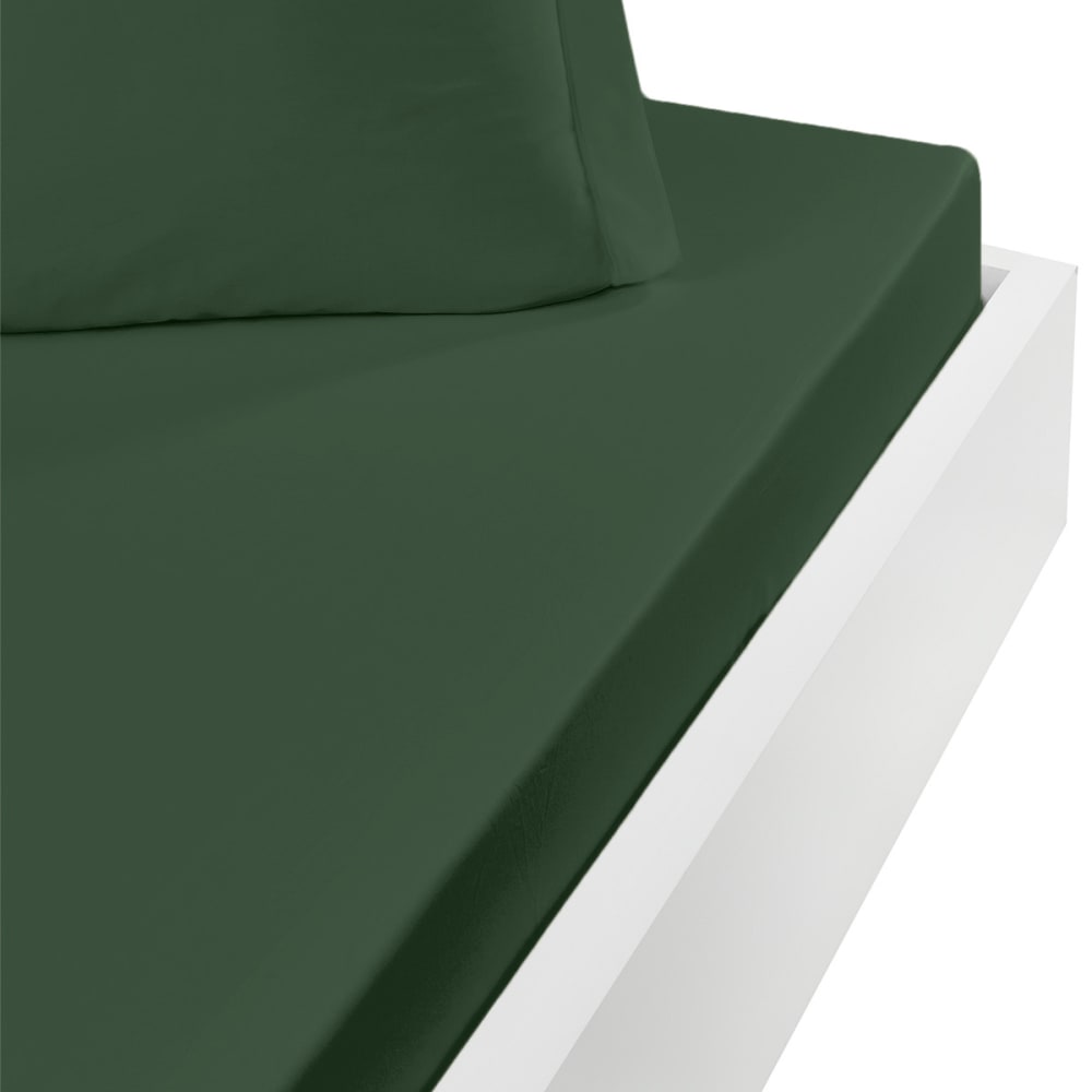 Drap housse en coton bonnet 30 cm lichen 200x200 cm