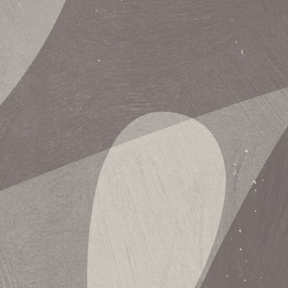 Papier peint cactus, gris foncé 525 x 250cm — vue 4
