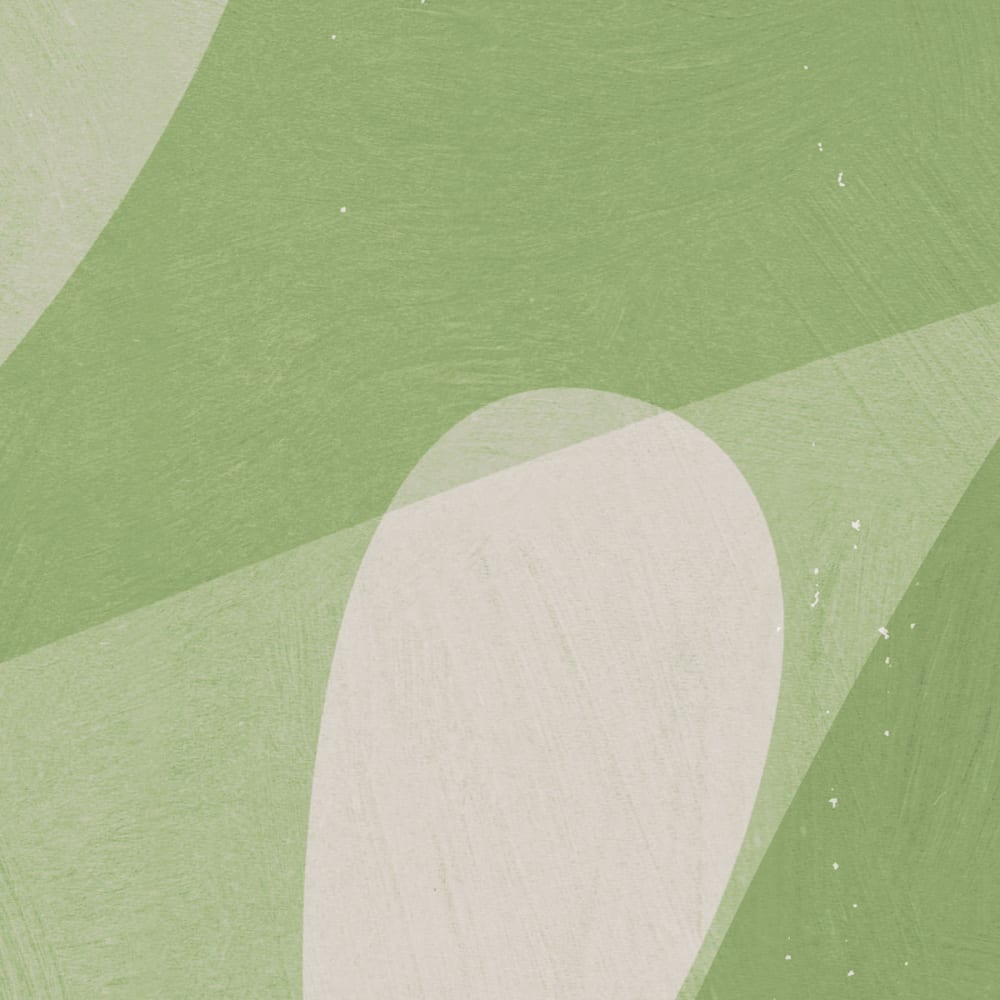 Papier peint cactus, vert clair 150 x 250cm — vue 4