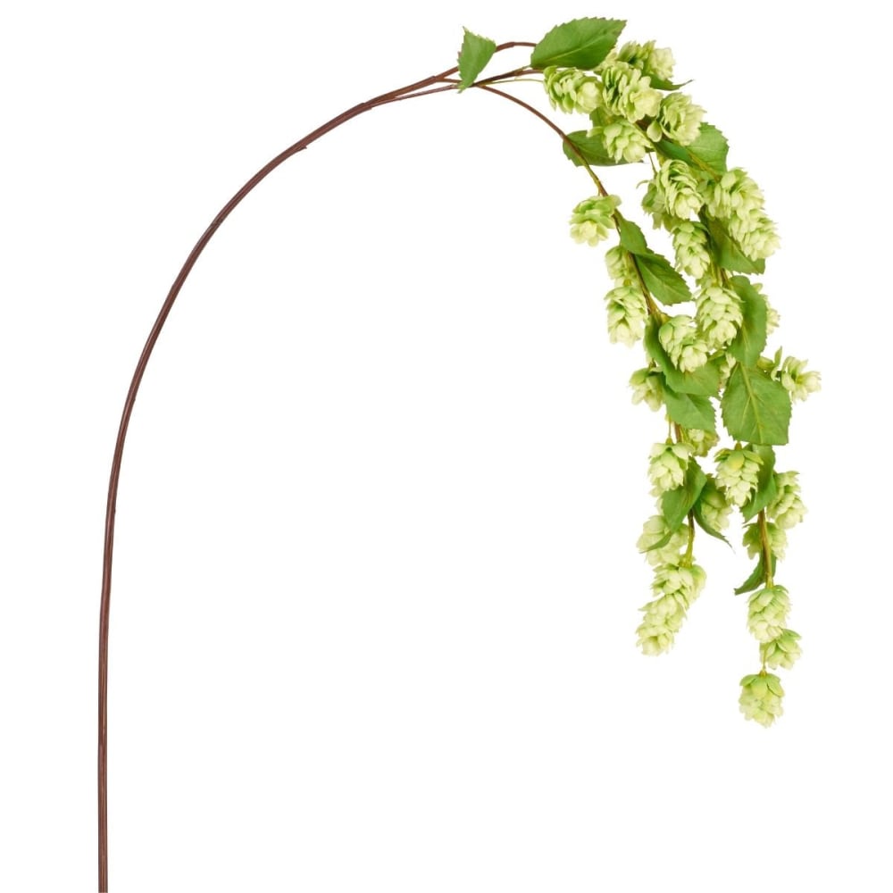 Sia Deco Tige houblon tombante artificielle verte h129 style contemporain - Pvc - Poly Chlorure De Vinyle