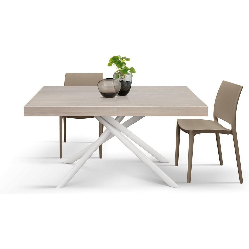 Holztisch, Perlenulme, weißes Gestell, ausziehbar: 160 x 90 – 240