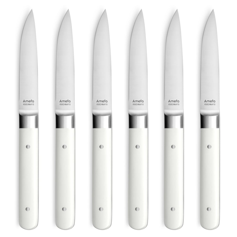 Coffret 6 couteaux steak