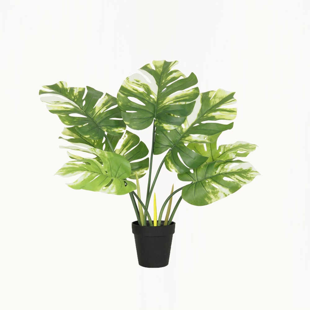 Monstera artificiel 60cm Monstera artificiel 60cm