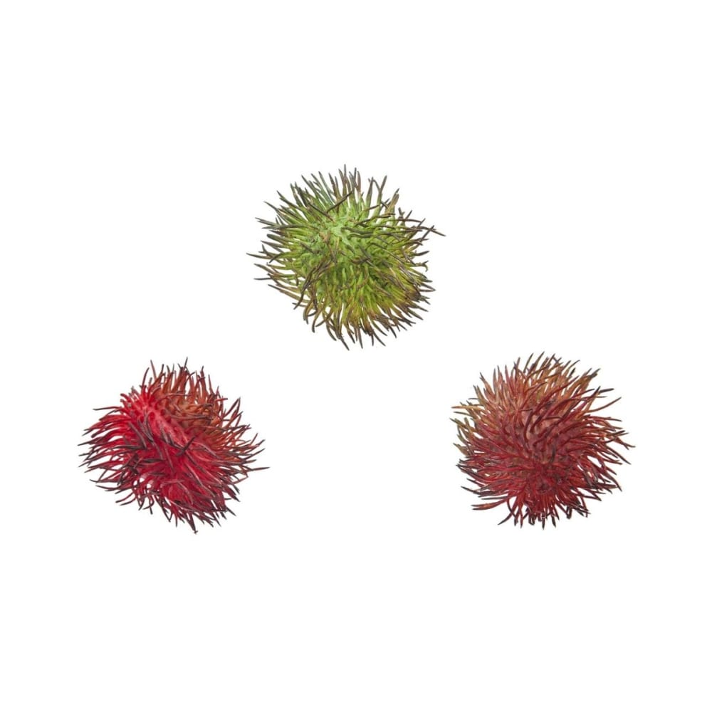 Set de 3 fruits artificiels ramboutan rouge bordeau et vert h7