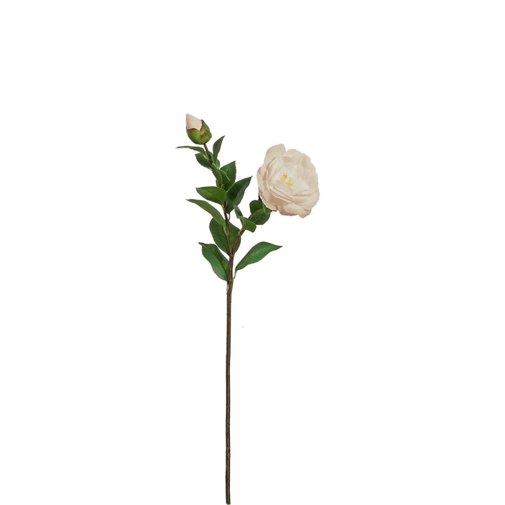 Sia Deco Tige de camélia artificielle crème et coeur rose h52 style contemporain Beige Pes - Polyester