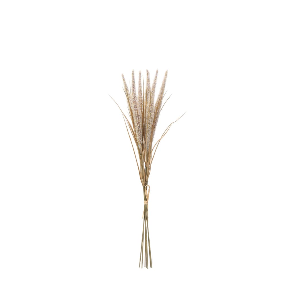 Sia Deco Bouquet aus 7 künstlichen Pampasgrasstielen H50, Beige style modern Beige Pvc - Polyvinlychlorid
