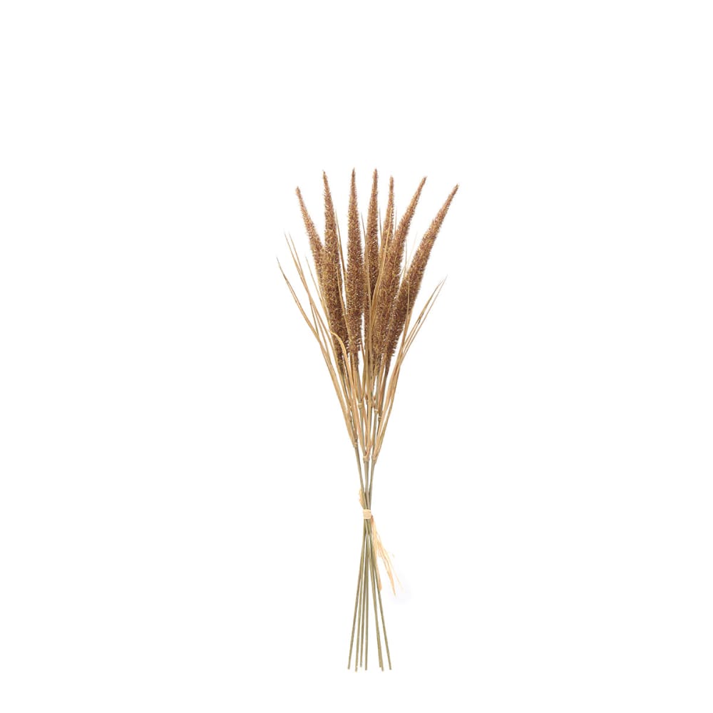 Bouquet de pampa 7 tiges artificielle marron h50