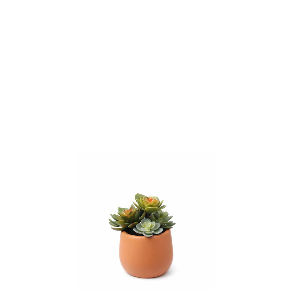 Succulente artificielle en pot vert h10