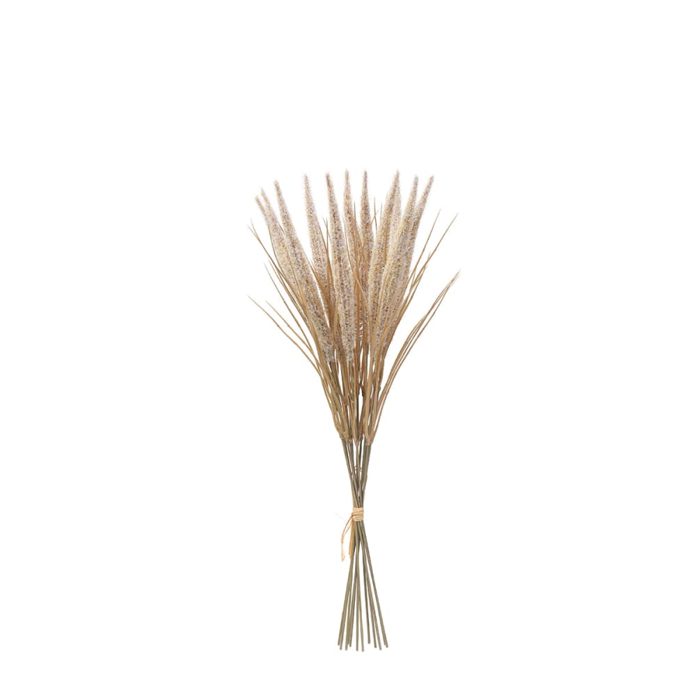 Bouquet de pampa 12 tiges artificielle beige h50 Bouquet de pampa 12 tiges artificielle beige h50