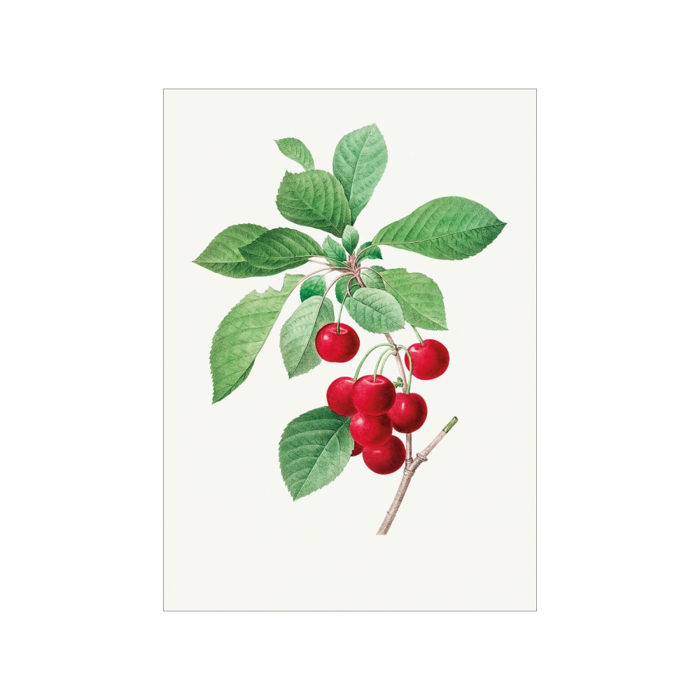 Affiche ''Red cherry'' sans cadre - 70 x 100 cm