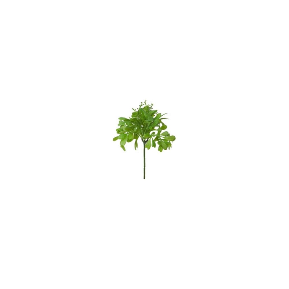 Sia Deco Feuillage de succulente artificiel vert h19 style contemporain - Pvc - Poly Chlorure De Vinyle
