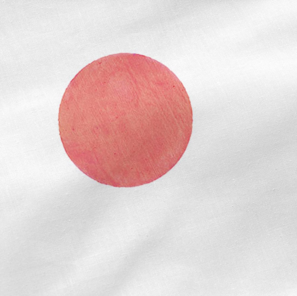 Taie d'oreiller 100% Coton Multicolore 60x70 cm - Maisons du Monde