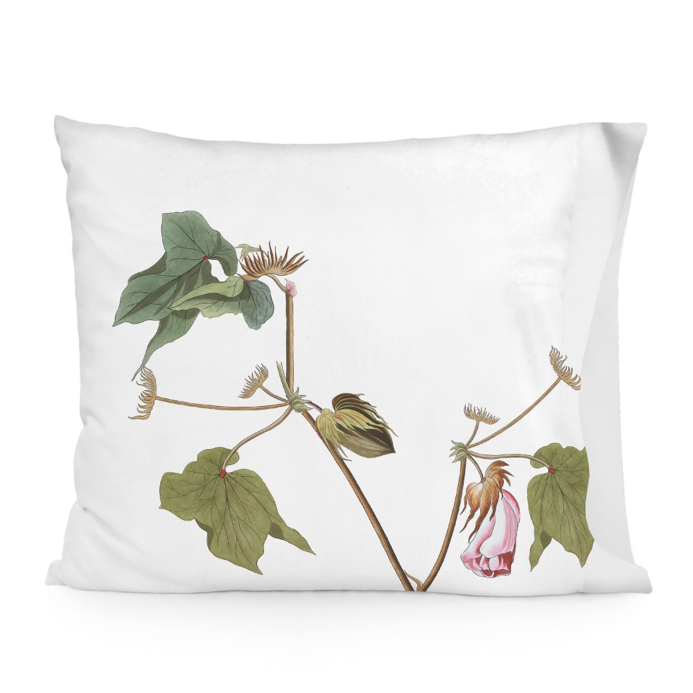 Taie d'oreiller 100% Coton Multicolore 60x70 cm