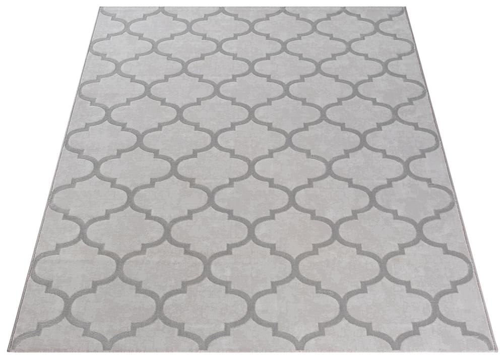 The carpet Moderner Teppich, Soft-Touch Flor, Grau, 120 x 170 cm style modern Grau Öko-Tex Zertifikat Pes - Polyester