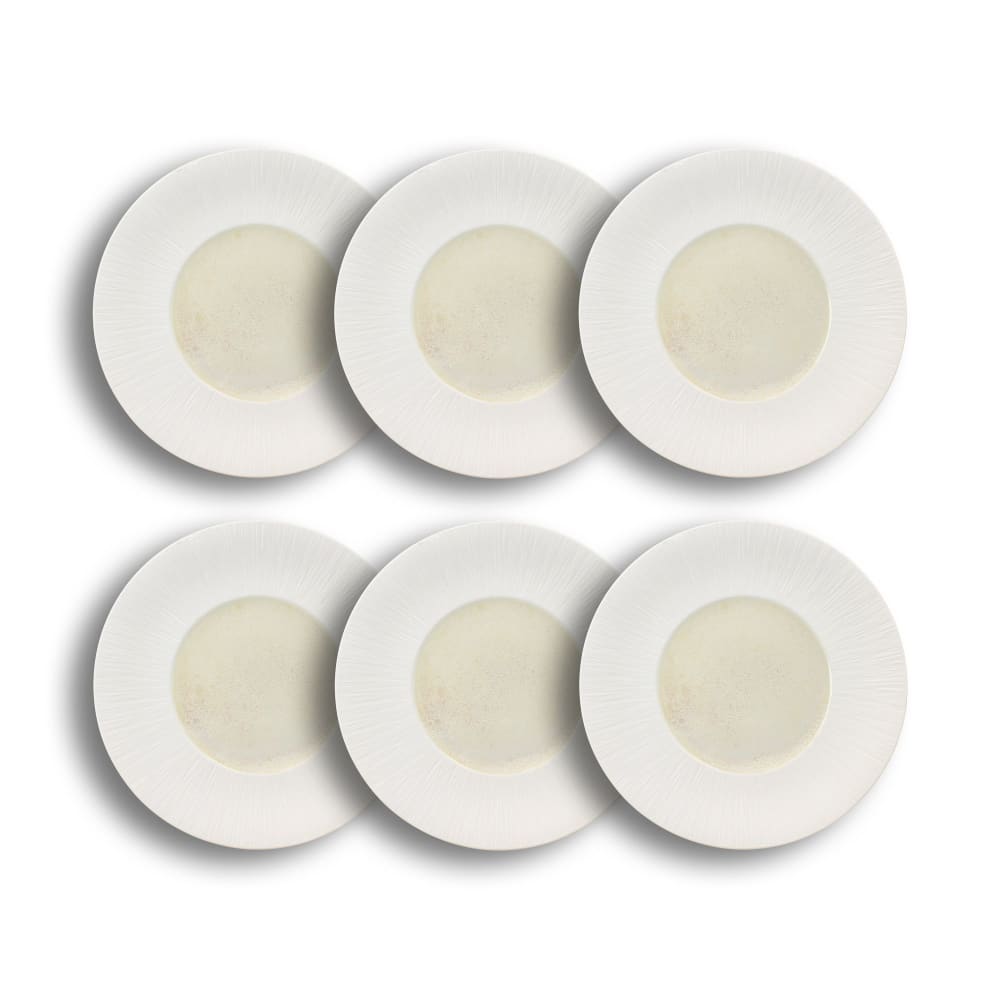 Lot de 6 assiettes plates - porcelaine