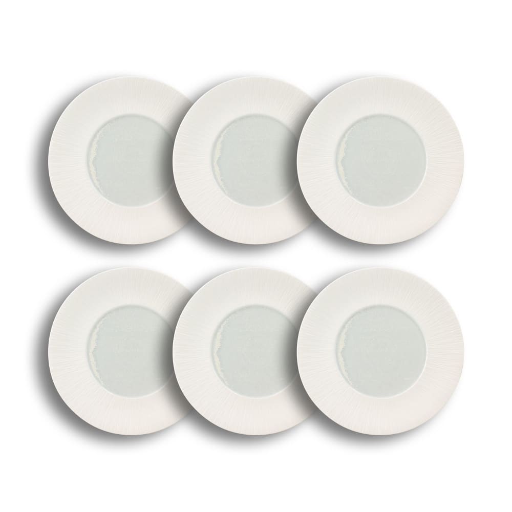 Lot de 6 assiettes plates - porcelaine