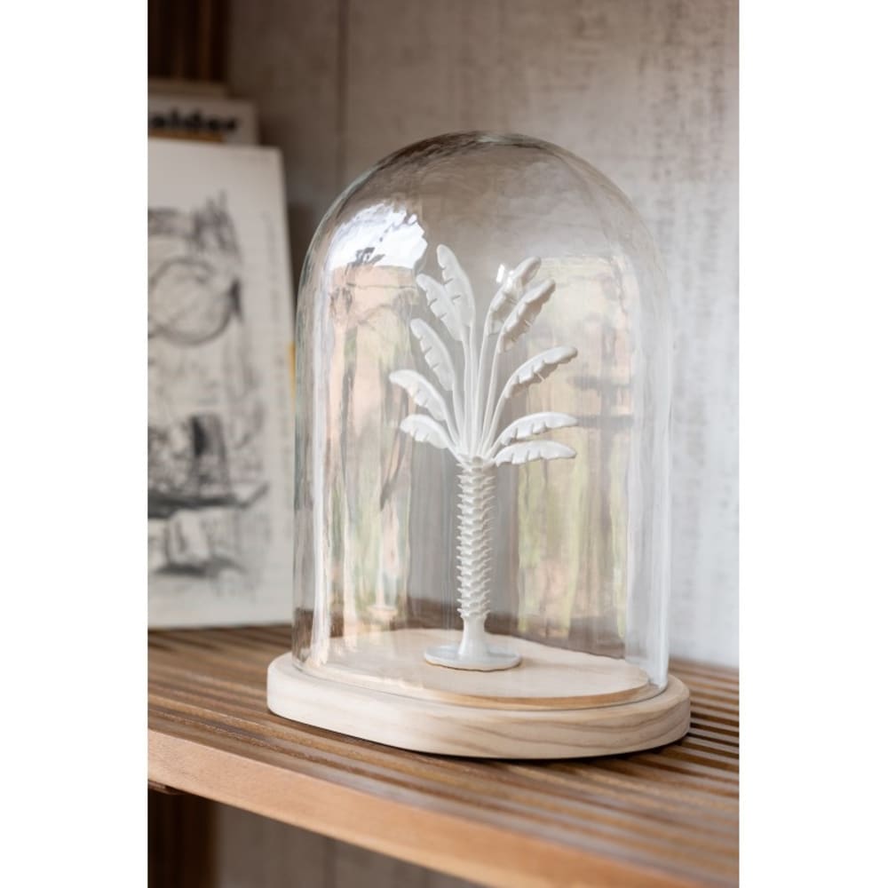 Palmier sous cloche en verre transparent 22x16x26