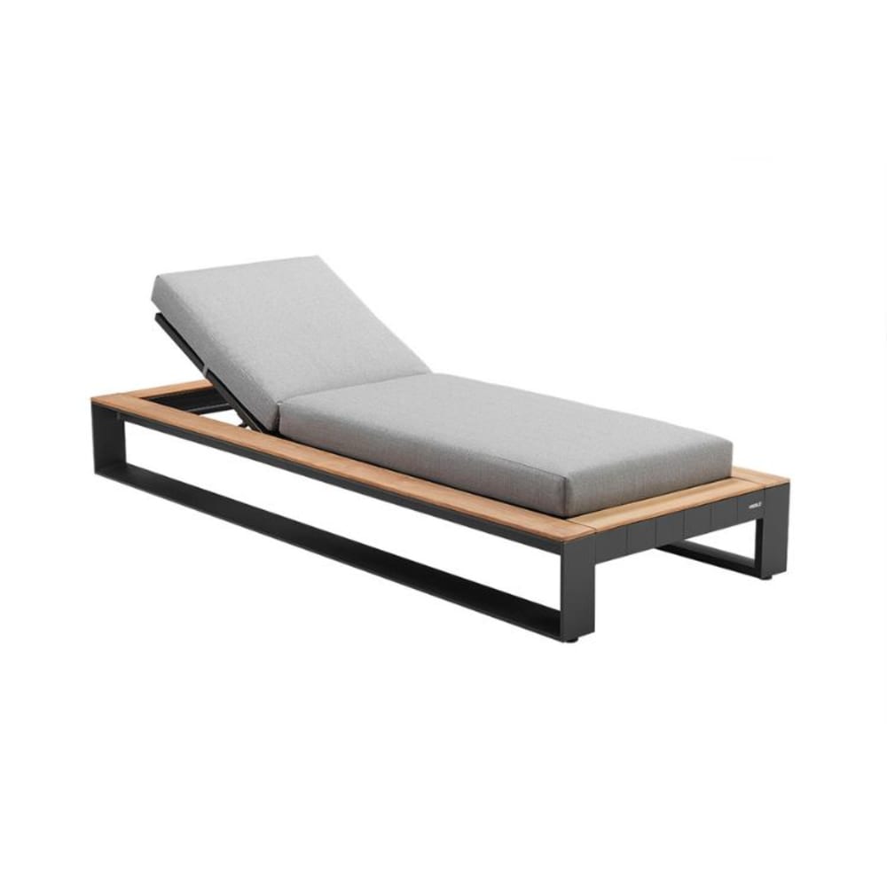 Bain de soleil en aluminium gris 220 x 86 x 88.5 cm
