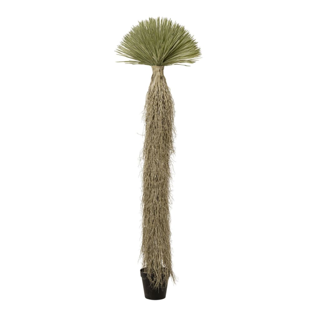 plante artificielle yucca