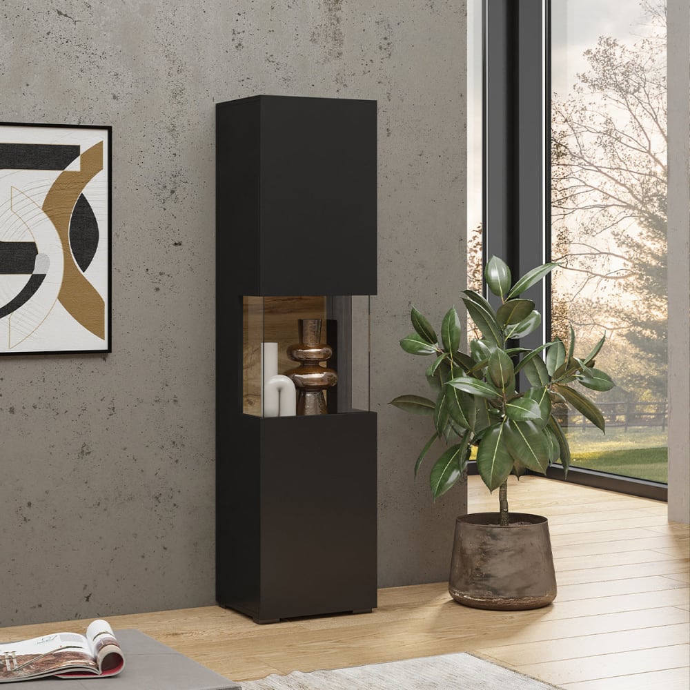Vitrine 1 porte et bois panneaux hdf noir
