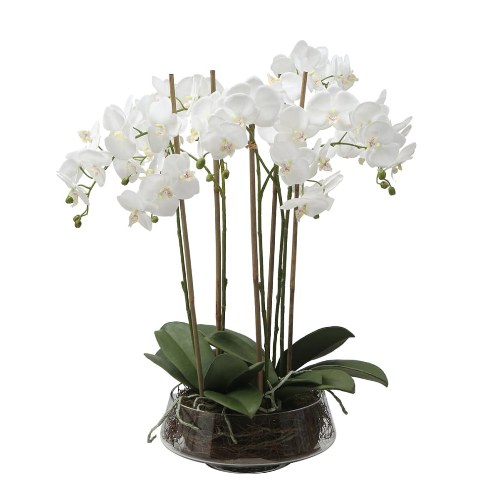 Composition d'orchidée artificielle blanche avec vase transparent H72