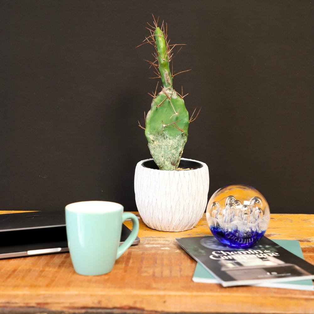 ° presse papier sulfure océan en verre bleu ø.8 cm - Maisons du Monde