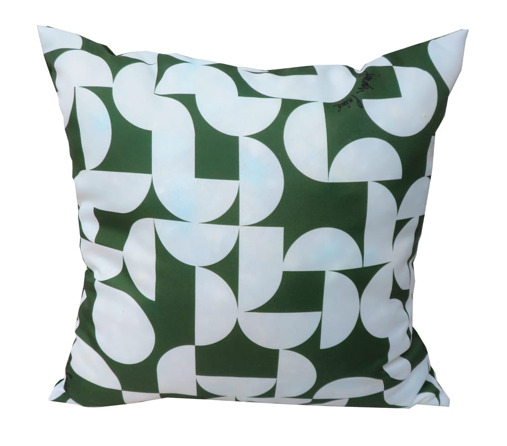 Lot de 2 coussins extérieur   40x40x15  vert