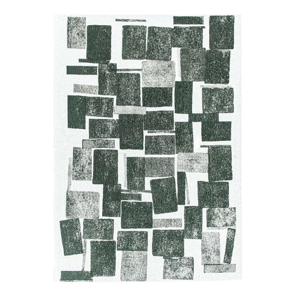 Tapis salon et chambre - plat