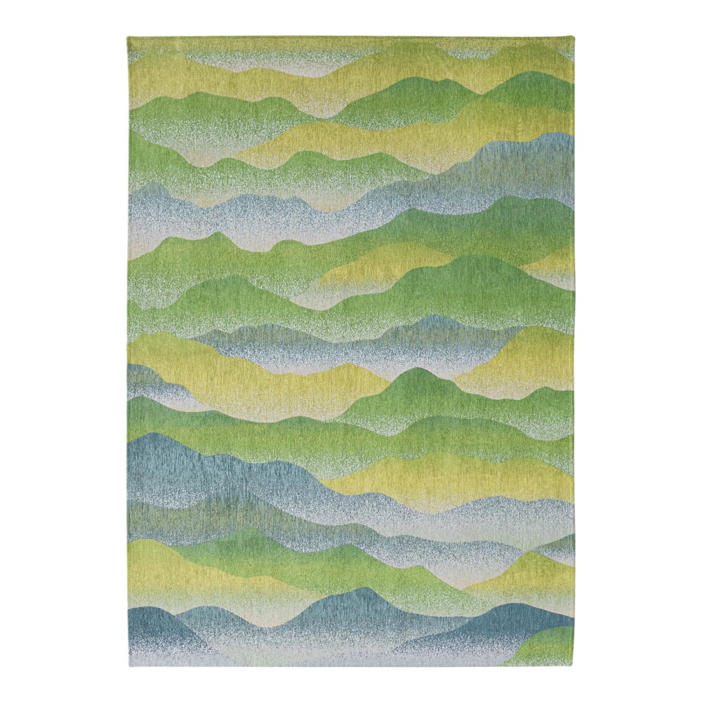 Tapis salon et chambre - plat