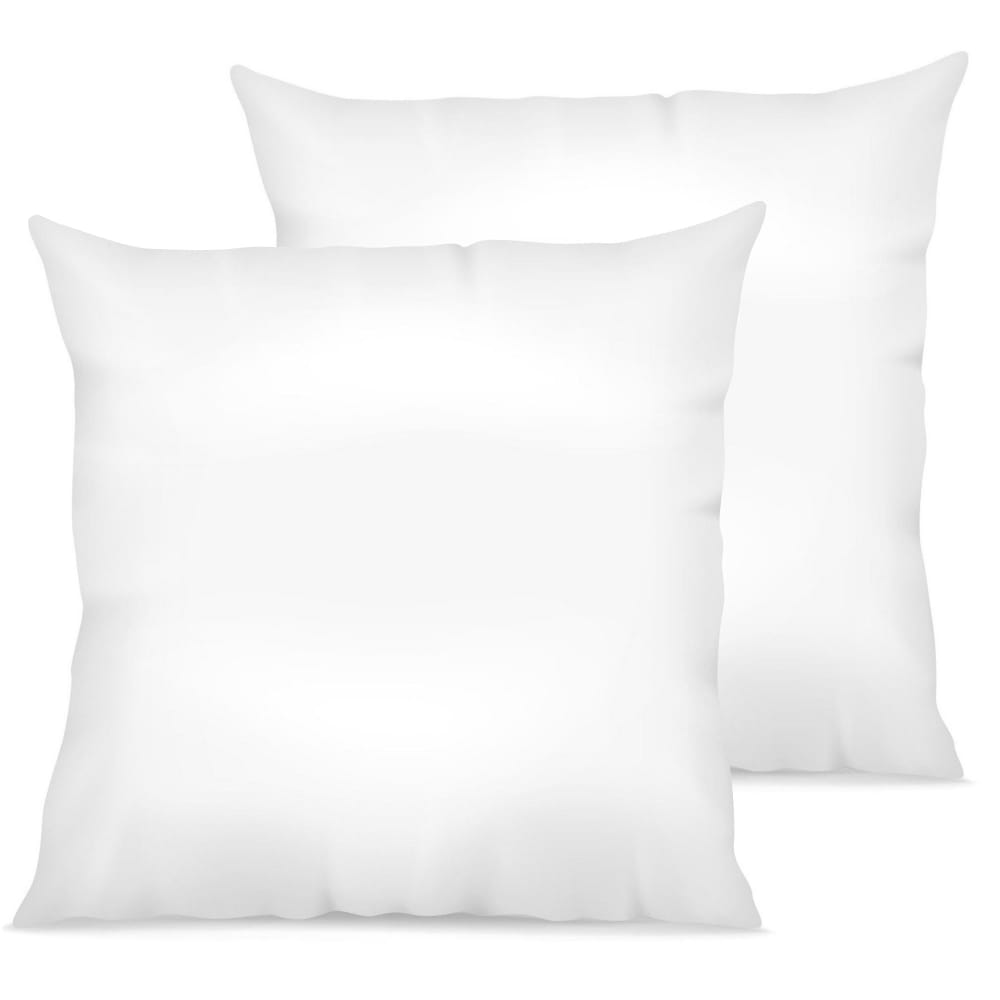 Lot de 2 oreillers moelleux microfibre fab française 60x60 cm