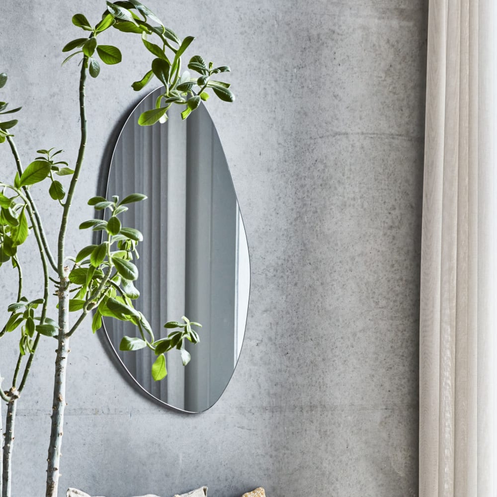 Miroir en verre clair 100x50