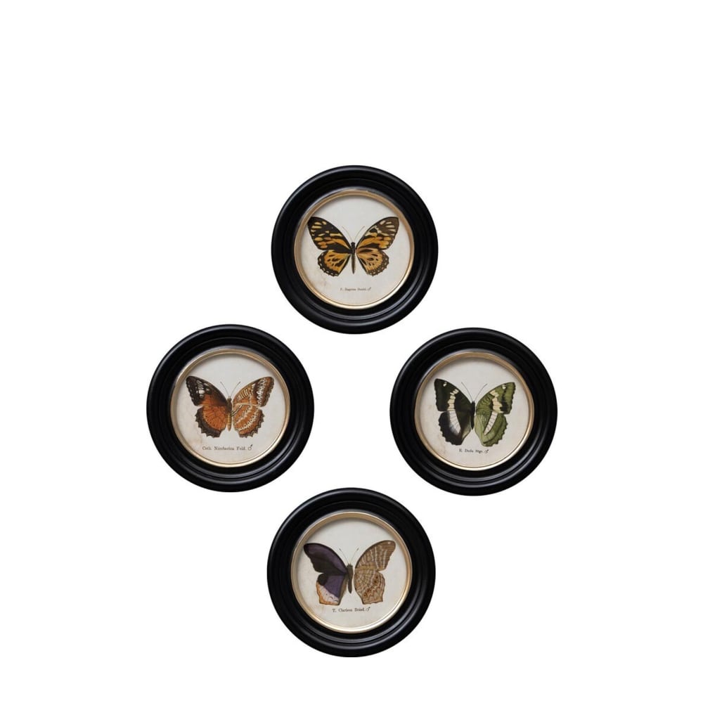 Cadres ronds en bois noir colorés (Lot de 4)