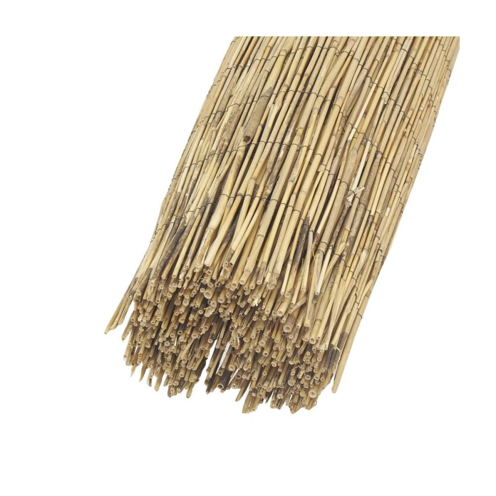 Canisse en roseau 1,5 x 5 m
