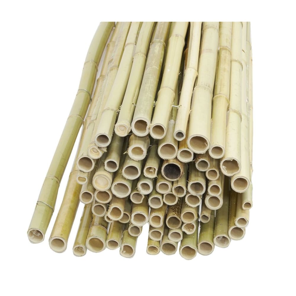 Canisse en bambou lot de 5