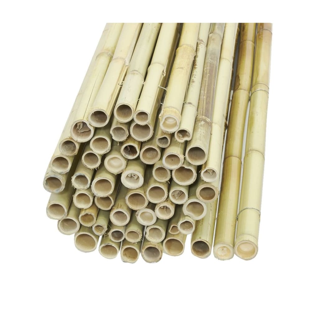 Canisse en bambou 2 x 1,8 m