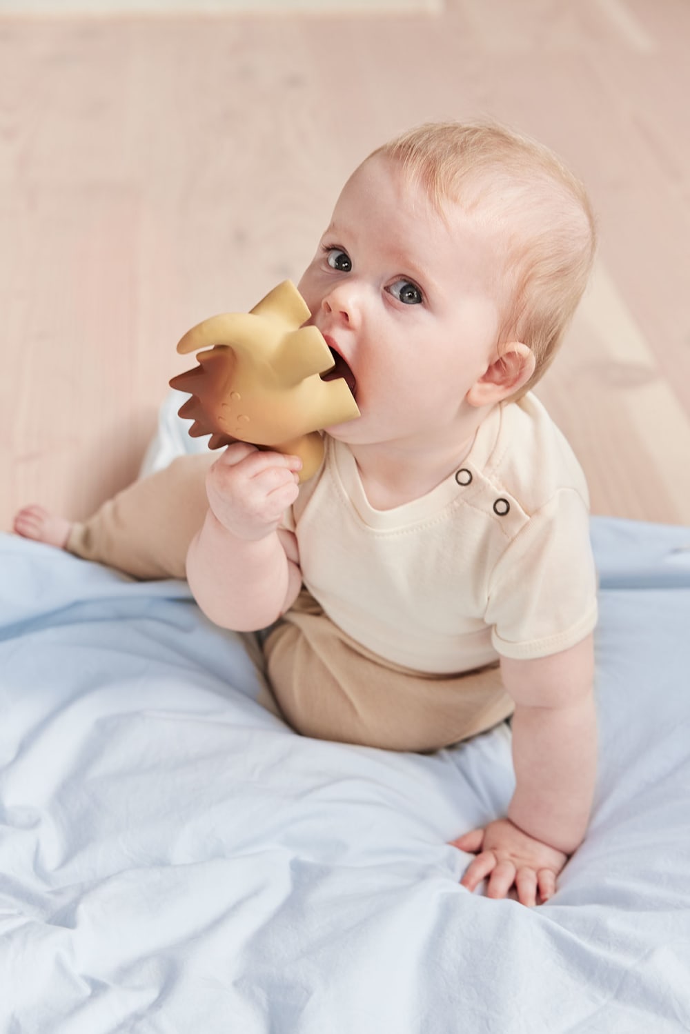 Peluche dinosaure marron en caoutchouc Ø16x5,5xH9cm (OYOY Living Design) - Image 2