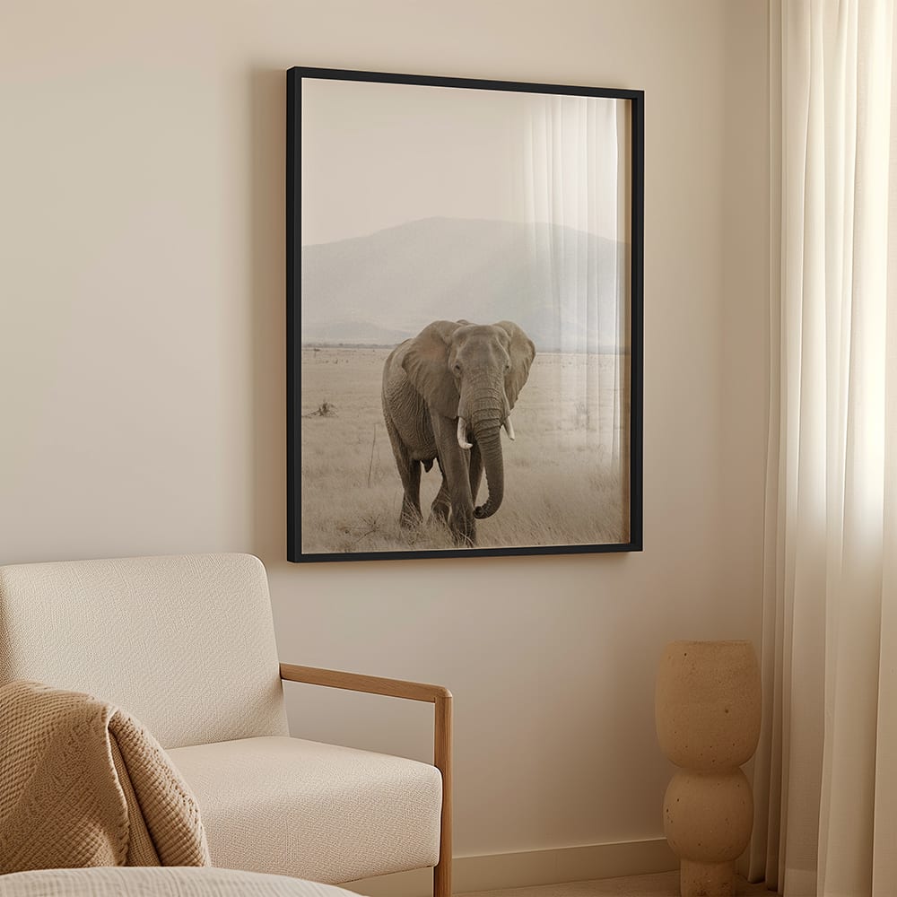 Wandbild elefant, schwarzer rahmen, 50x70 cm - Maisons Du Monde