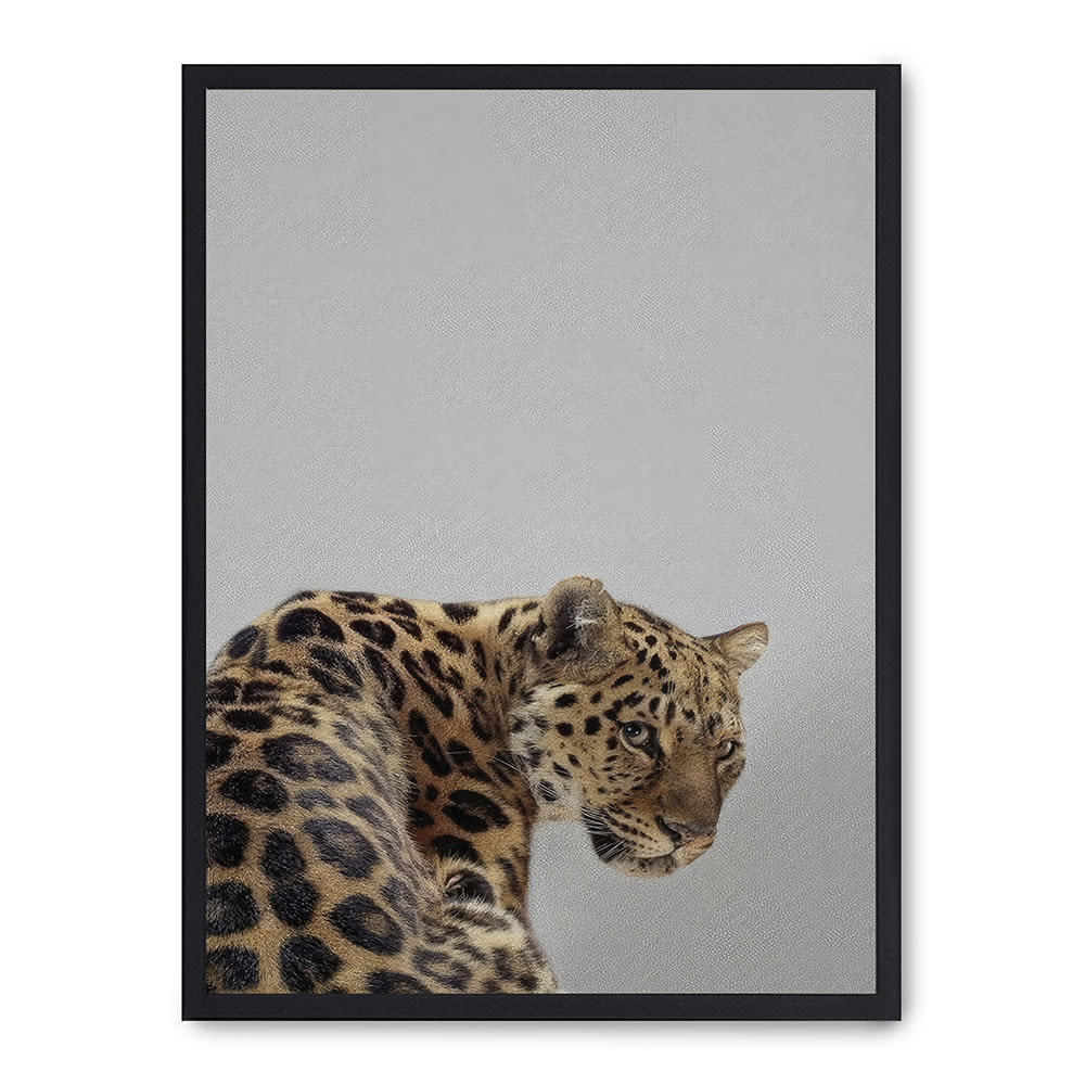 Poster Lab Wandbild leopard, schwarzer rahmen, 50x70 cm Mehrfarbig Holz