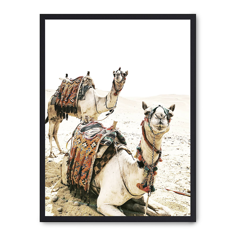 Poster Lab Wandbild kamele, schwarzer rahmen, 50x70 cm Beige Holz