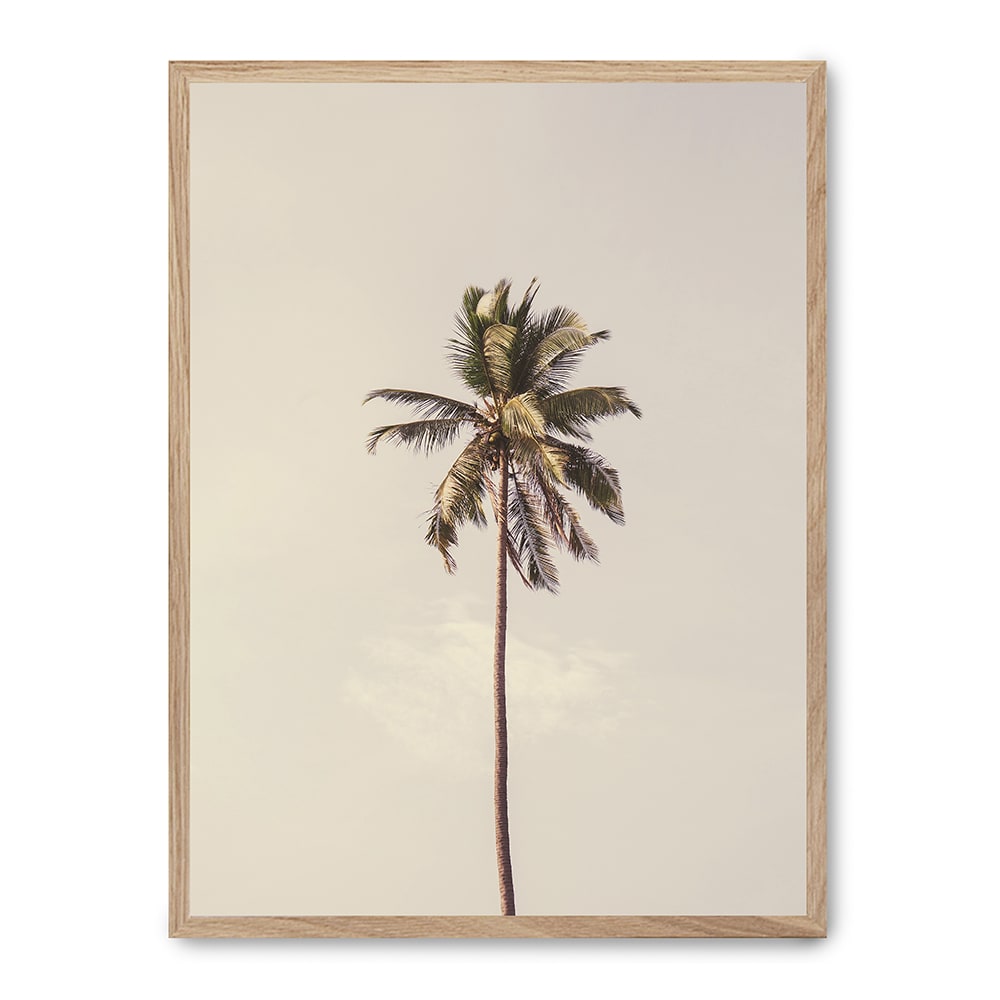 Poster Lab Wandbild palme, hochwertiger rahmen, eichenfurnier, 30x40 cm Mehrfarbig Holz