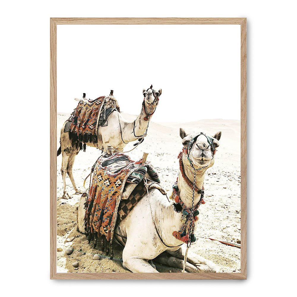 Poster Lab Wandbild kamele, hochwertiger rahmen, eichenfurnier, 50x70 cm Beige Holz