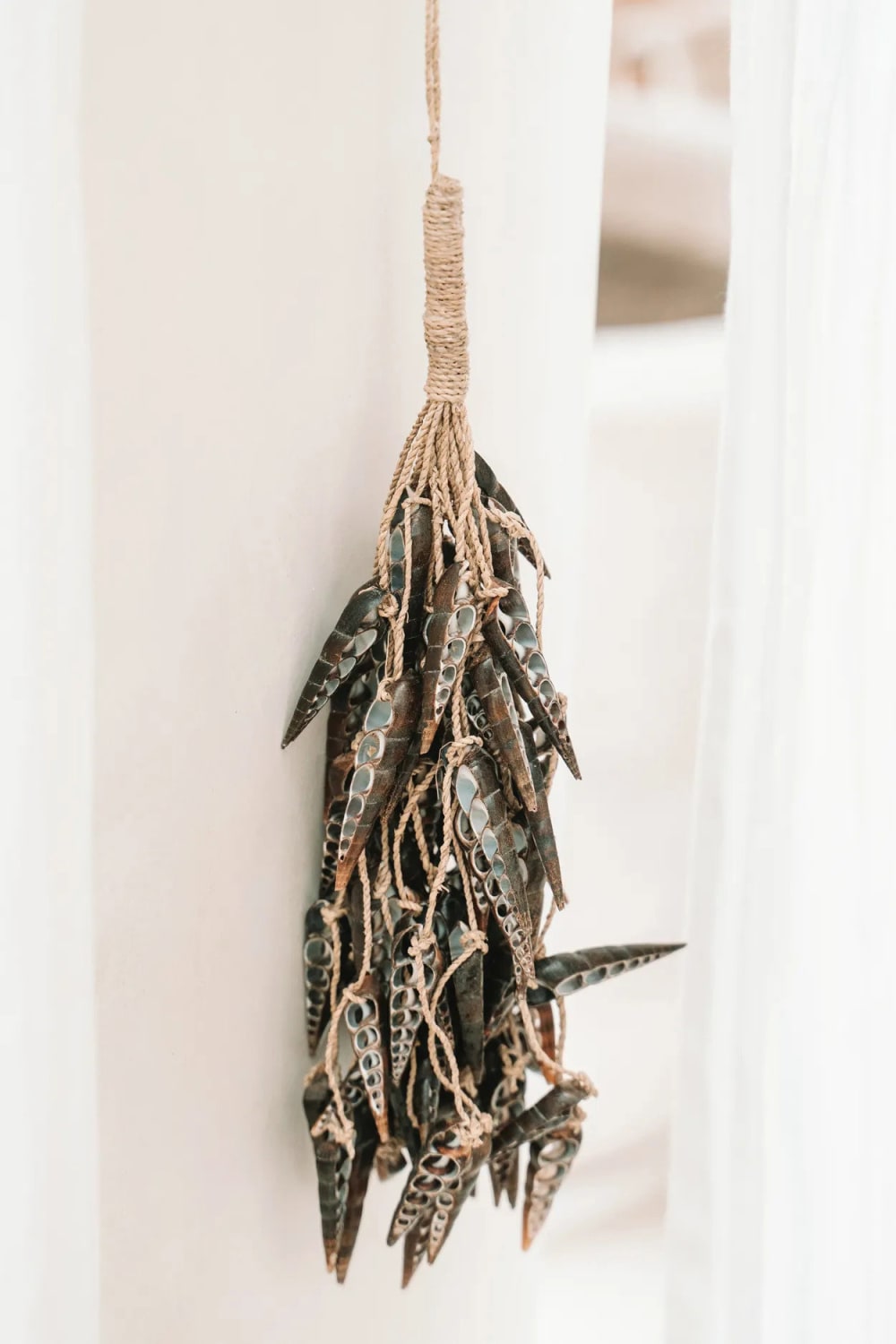 Quaste muschel braun, 10x10x48cm - Maisons Du Monde
