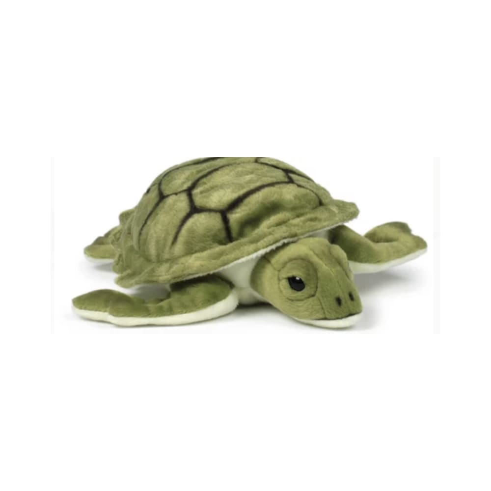 Plüsch Turtle 23 cm - Maisons Du Monde