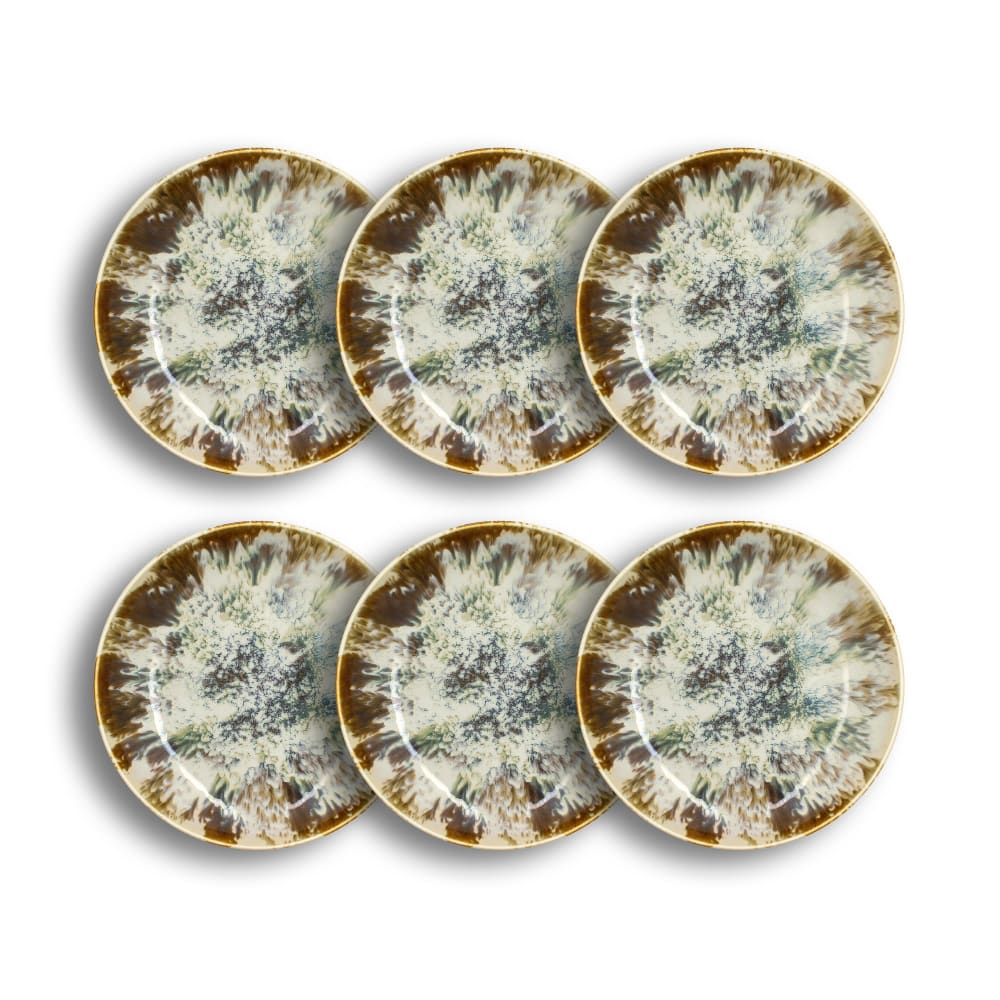 Lot de 6 grandes assiettes