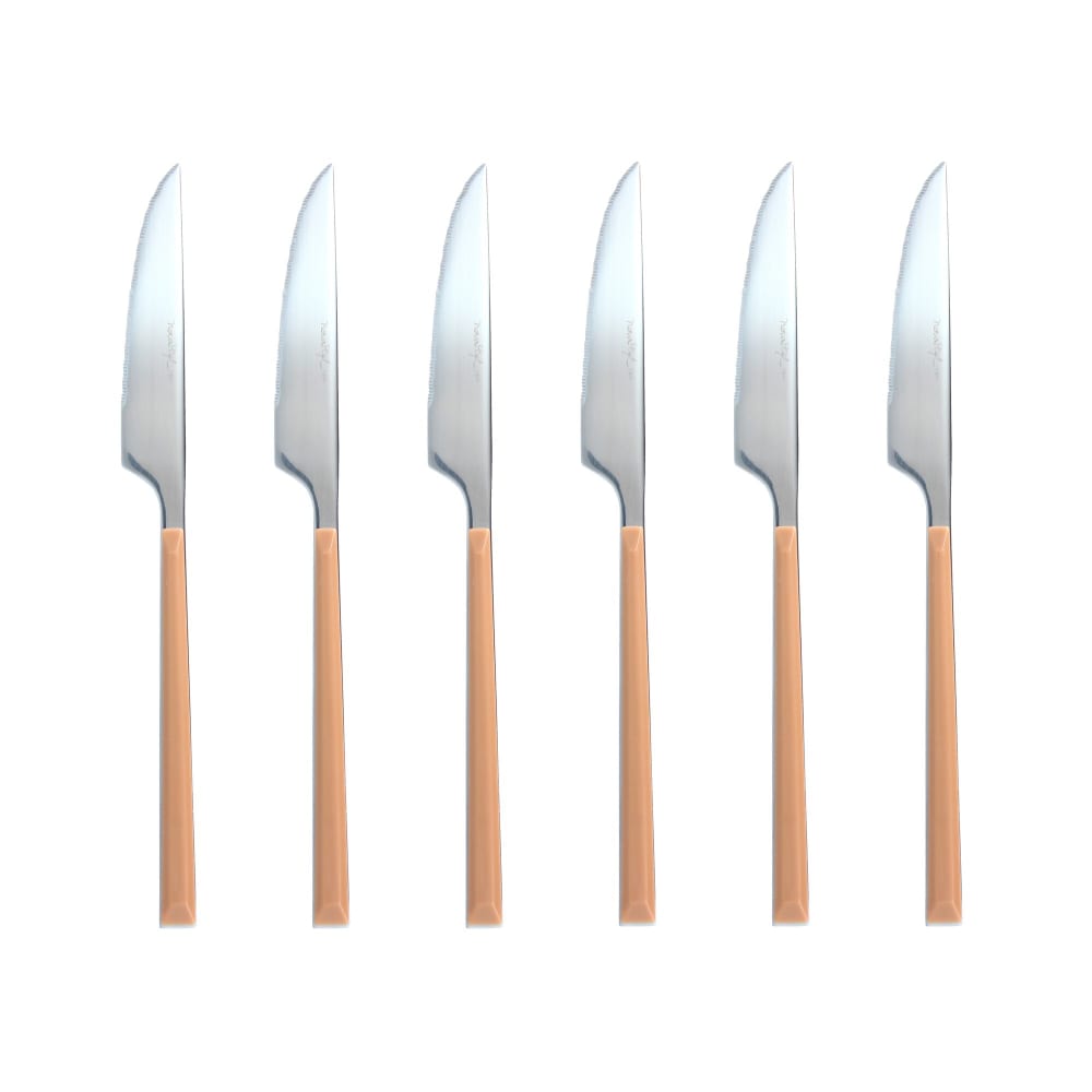 Lot de 6 couteaux marron en acier inoxydable