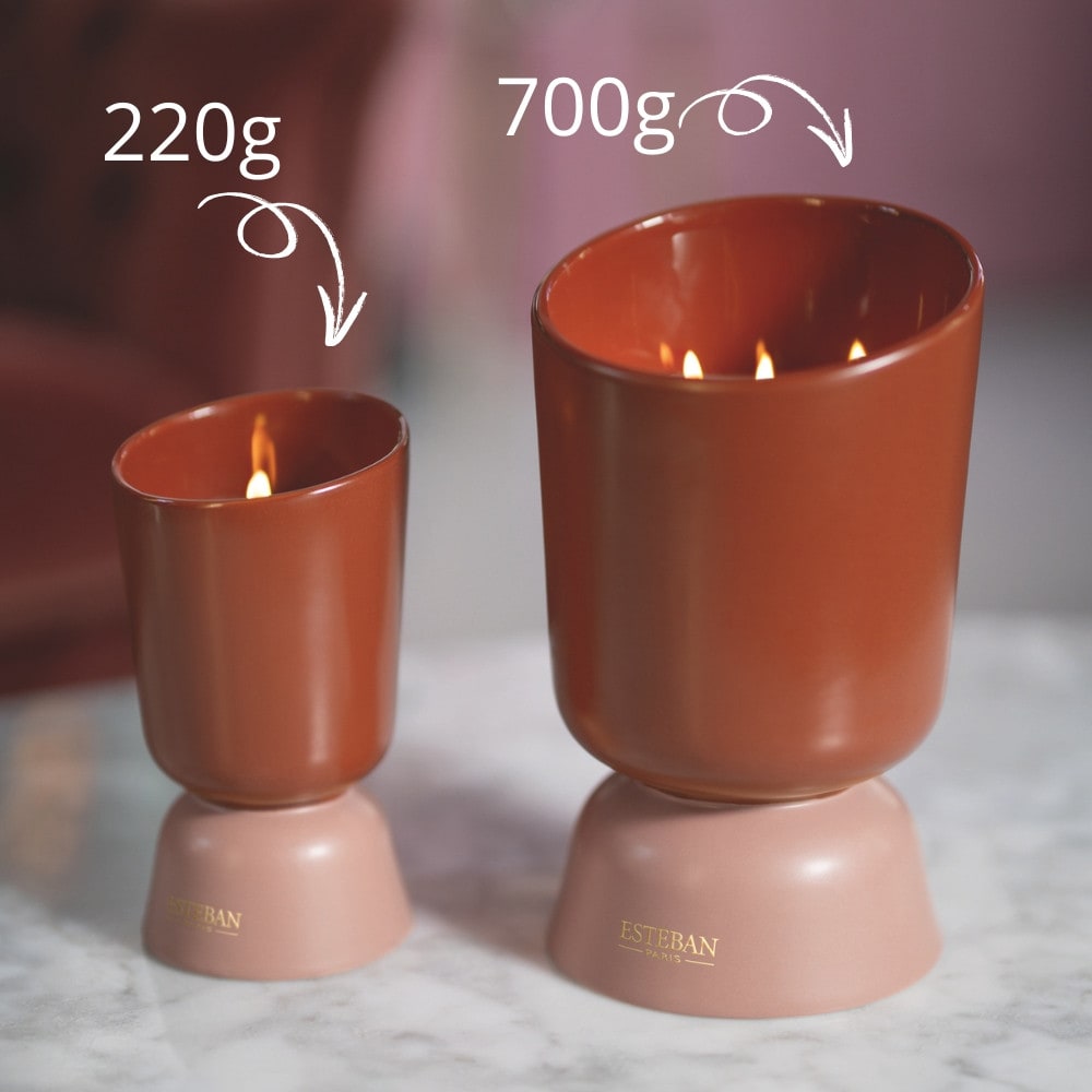 Bougie rechargeable 700g Teck & Tonka